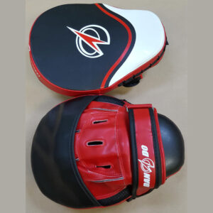 2 Focus Mitts
