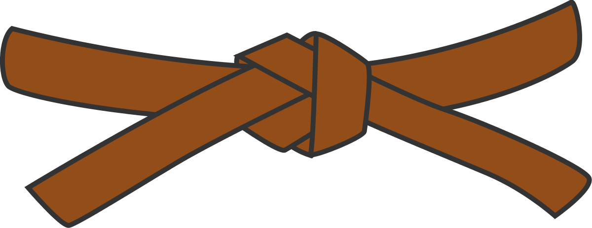 Brown Belt Exam – Little Tiger