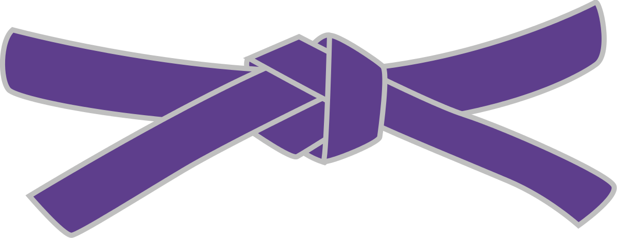 Purple Belt Exam – Little Tiger