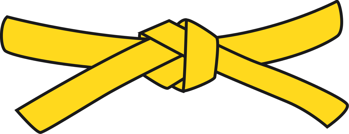 Yellow Belt Exam – Little Tiger