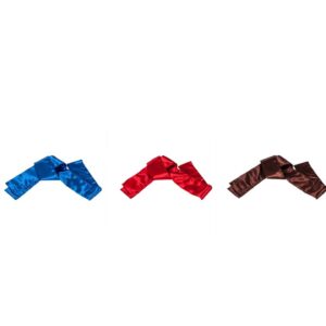 Kickboxing Belt