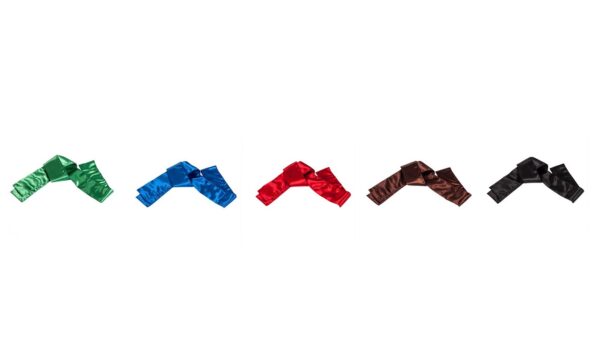 Kickboxing Belt